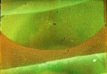 मुक्ता की तीन कविताएं