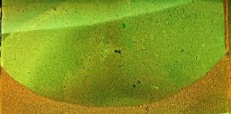 मुक्ता की तीन कविताएं