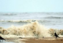 तेजी से बढ़ रहा है भारत के तटीय इलाकों में समुद्र का स्तर – डब्ल्यूएमओ