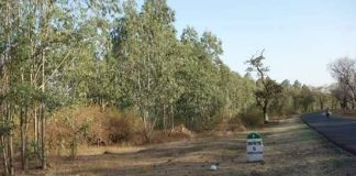 संकट में अमरकंटक और पाखंडी संकल्प!