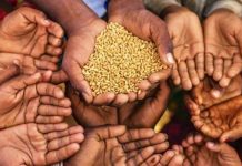 खाद्यान्न संकट का तेजी से बढ़ता ग्राफ