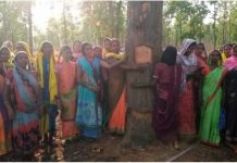 हसदेव अरण्य में पेड़ों की कटाई का विरोध, कार्यकर्ताओं पर केस