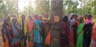 हसदेव अरण्य में पेड़ों की कटाई का विरोध, कार्यकर्ताओं पर केस