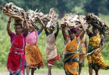 तेलंगाना में वनभूमि पर कब्जे के आरोप में 12 आदिवासी महिलाओं को भेजा जेल