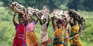 तेलंगाना में वनभूमि पर कब्जे के आरोप में 12 आदिवासी महिलाओं को भेजा जेल