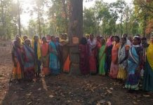 हसदेव अरण्य में खनन के लिए काटे पेड़, विरोध के बाद रुकी कटाई