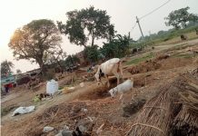 बिहार में वैकल्पिक व्यवस्था किये बिना उजाड़ दिया तीन सौ दलित परिवारों का आशियाना