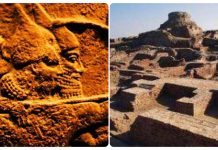 हमारे पूर्वज कौन थे?