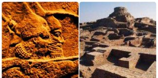 हमारे पूर्वज कौन थे?