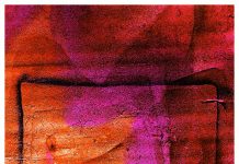 आलोक पराड़कर की चार कविताएं