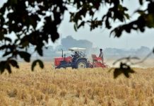 पंजाब में किसानी को संकट से उबारने के लिए क्या करना होगा