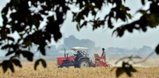 पंजाब में किसानी को संकट से उबारने के लिए क्या करना होगा