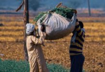 पंजाब में किसानों की खुदकुशी की घटनाएँ क्यों बढ़ रही हैं