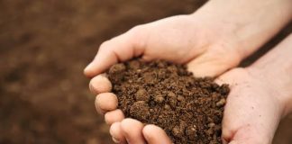 खाद्य एवं कृषि संगठन ने किया आगाह : 28 वर्षों में दुनिया की 90 फीसद मिट्टी की गुणवत्ता को होगा नुकसान