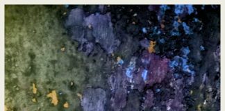 अर्पण कुमार की कविताएँ