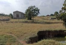 मध्य प्रदेश में राजस्व अधिकारियों ने आदिवासियों की जमीन निजी कंपनी को बेची