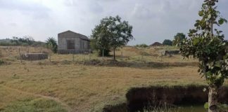 मध्य प्रदेश में राजस्व अधिकारियों ने आदिवासियों की जमीन निजी कंपनी को बेची