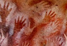 विशुद्ध नस्ल जैसी कोई चीज नहीं है