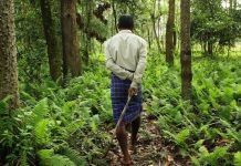 वन संरक्षण कानून में बदलाव का किसानों के साथ विपक्ष ने किया विरोध