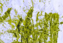 चंद्र मोहन की पॉंच कविताऍं