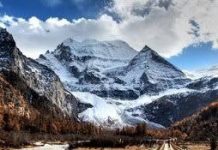 प्रो युधिष्ठिर की प्राणाहुति