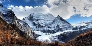 प्रो युधिष्ठिर की प्राणाहुति