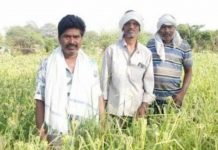 कृषि लोन का एक बड़ा हिस्सा महानगरों में आवंटित किया जा रहा