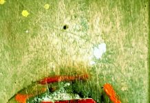 भारत भूषण अग्रवाल की कविता