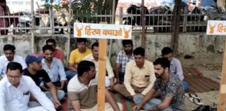 चीतों को भोजन में हिरण दिए जाने से क्षुब्ध विश्नोई समाज का धरना प्रदर्शन