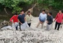 इंदौर में किसान ने 70 कट्टे लहसुन नाले में बहाया