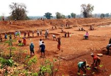 34.1 फीसदी बेरोजगारी दर के साथ हरियाणा देश में अव्वल