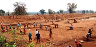 34.1 फीसदी बेरोजगारी दर के साथ हरियाणा देश में अव्वल