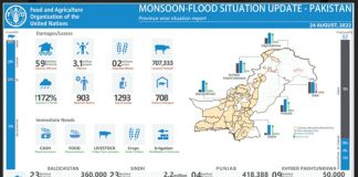 बाढ़ आपातकाल के बीच, पाकिस्तान के कर्ज को निलंबित करने, जलवायु वित्तपोषण में तेजी लाने की मांग