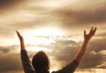 कृतज्ञता का अहोभाव