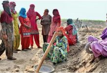 उलझी आवेदन प्रकियाओं के कारण महिलाएं मनरेगा में काम करने को अनिच्छुक : रिपोर्ट