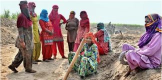 उलझी आवेदन प्रकियाओं के कारण महिलाएं मनरेगा में काम करने को अनिच्छुक : रिपोर्ट