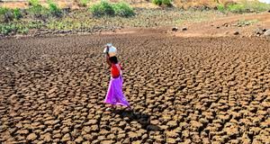 कॉप 27 : सूखे से निपटने के लिए शर्म अल-शेख में हुई एक वैश्विक पहल