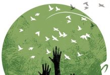 अहिंसा : संस्कृति का आधार स्तंभ