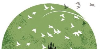 अहिंसा : संस्कृति का आधार स्तंभ