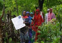 वनवासियों के कितने काम आ रहा है वनाधिकार अधिनियम?