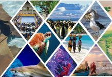 चिपको आंदोलन की 50वीं वर्षगांठ मनाई गई