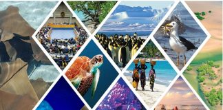 चिपको आंदोलन की 50वीं वर्षगांठ मनाई गई