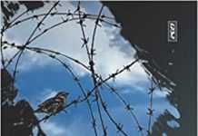 कविता में जाति के प्रश्न