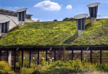 आर्थिक विकास की सही दिशा