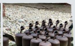 प्रतिरोध का एक मूर्तिशिल्पीय संस्थापन