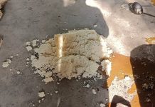 दलित की रसोइया ने बनाया मिड डे मील तो शिक्षिका ने जमीन पर फेंका