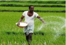 फूड और फर्टिलाइजर सबसिडी घटाएगी सरकार