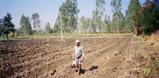 कृषि में आजीविका मूल्य की अवधारणा जरूरी