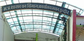 इंदौर में नीलगाय का आतंक, लाखों की फसल हो रही बर्बाद