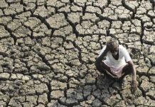 कागजों में सिमटी झारखंड सरकार की फसल सुखाड़ योजना